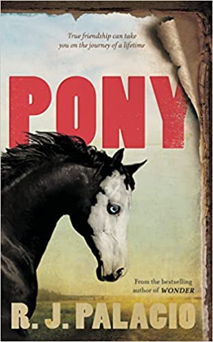 Pony Book Cover